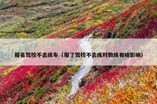 报名驾校不去练车（报了驾校不去练对教练有啥影响）
