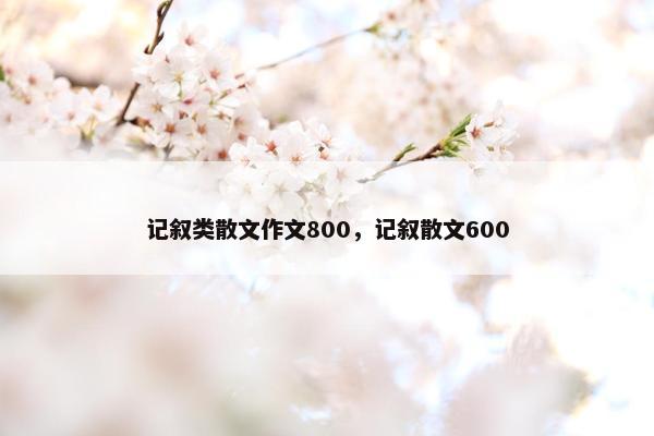 记叙类散文作文800，记叙散文600