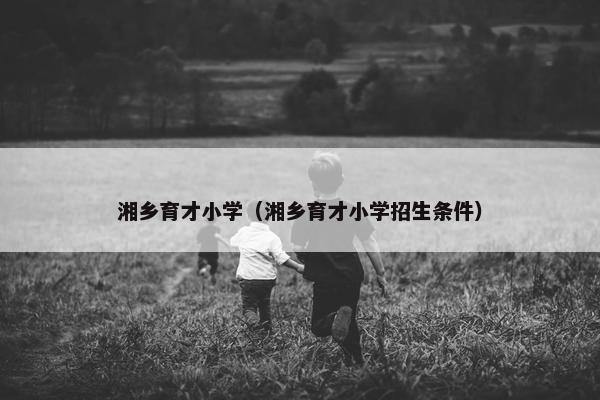 湘乡育才小学（湘乡育才小学招生条件）