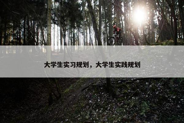 大学生实习规划，大学生实践规划