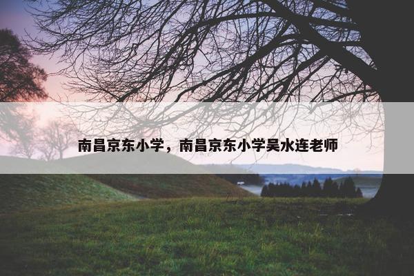 南昌京东小学，南昌京东小学吴水连老师