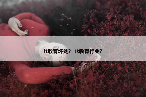 it教育坏处？ it教育行业？