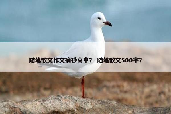 随笔散文作文摘抄高中？ 随笔散文500字？