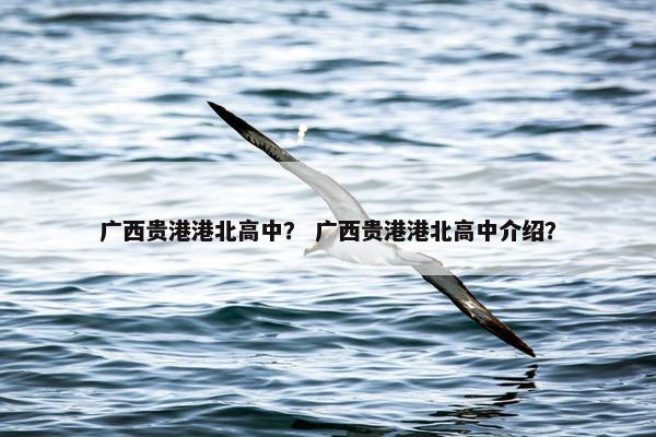 广西贵港港北高中？ 广西贵港港北高中介绍？