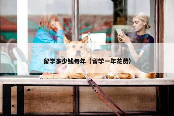 留学多少钱每年（留学一年花费）