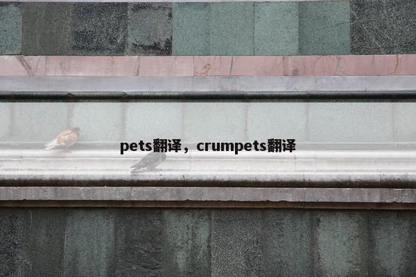pets翻译，crumpets翻译