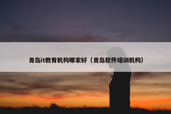 青岛it教育机构哪家好（青岛软件培训机构）