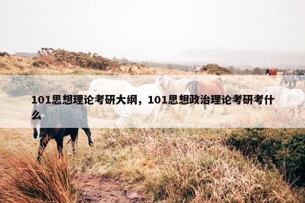 101思想理论考研大纲，101思想政治理论考研考什么
