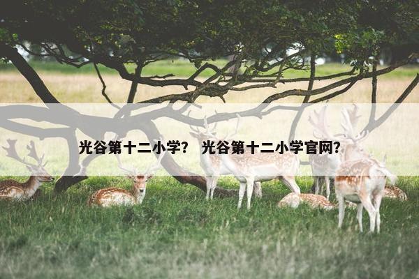 光谷第十二小学？ 光谷第十二小学官网？