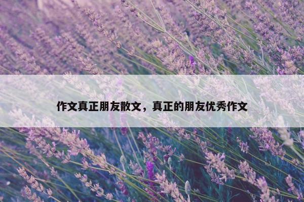 作文真正朋友散文，真正的朋友优秀作文