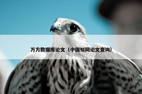 万方数据库论文（中国知网论文查询）