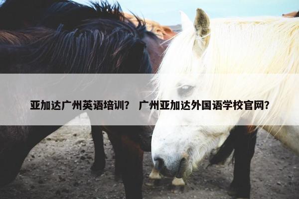 亚加达广州英语培训？ 广州亚加达外国语学校官网？