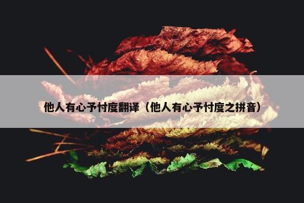 他人有心予忖度翻译（他人有心予忖度之拼音）