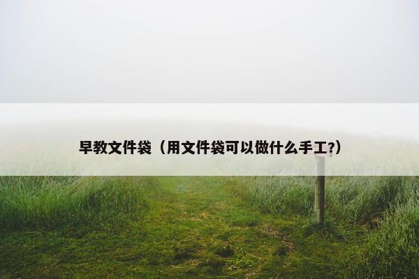 早教文件袋（用文件袋可以做什么手工?）