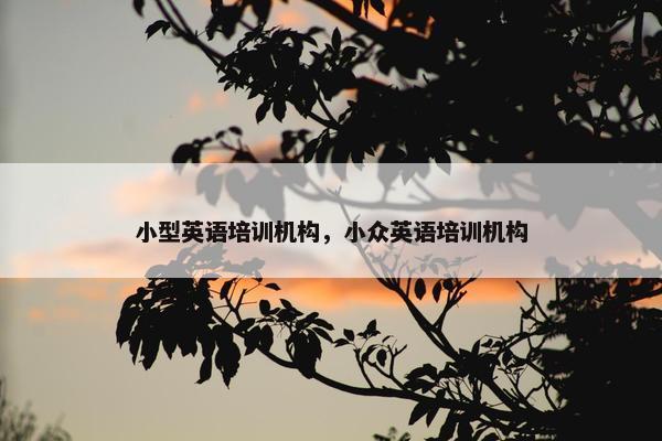 小型英语培训机构，小众英语培训机构