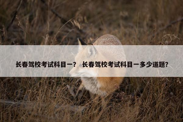 长春驾校考试科目一？ 长春驾校考试科目一多少道题？