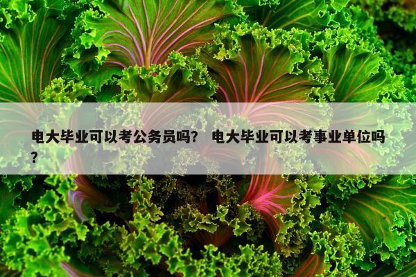 电大毕业可以考公务员吗？ 电大毕业可以考事业单位吗？