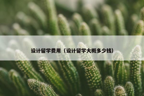 设计留学费用（设计留学大概多少钱）