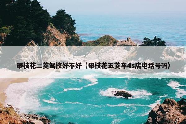 攀枝花二菱驾校好不好（攀枝花五菱车4s店电话号码）