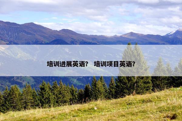 培训进展英语？ 培训项目英语？