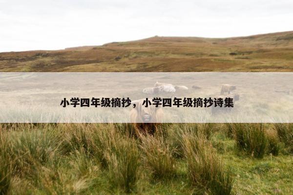 小学四年级摘抄，小学四年级摘抄诗集