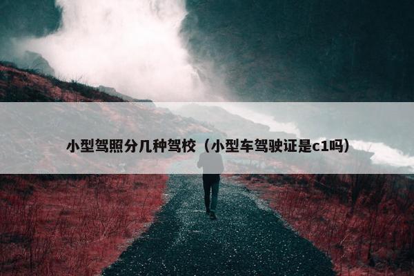 小型驾照分几种驾校（小型车驾驶证是c1吗）