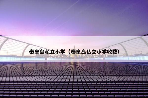 秦皇岛私立小学（秦皇岛私立小学收费）