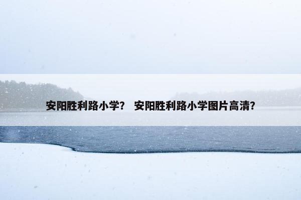 安阳胜利路小学？ 安阳胜利路小学图片高清？