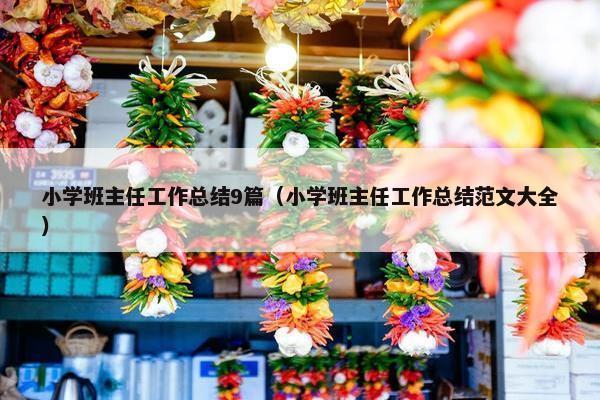 小学班主任工作总结9篇（小学班主任工作总结范文大全）