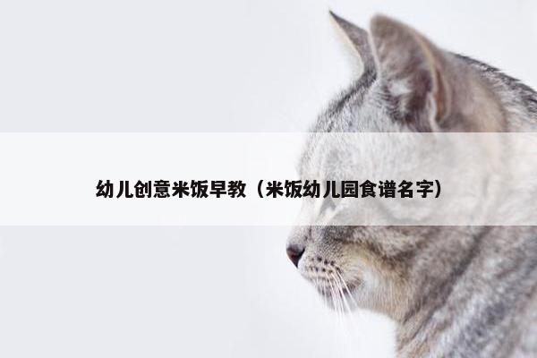 幼儿创意米饭早教（米饭幼儿园食谱名字）