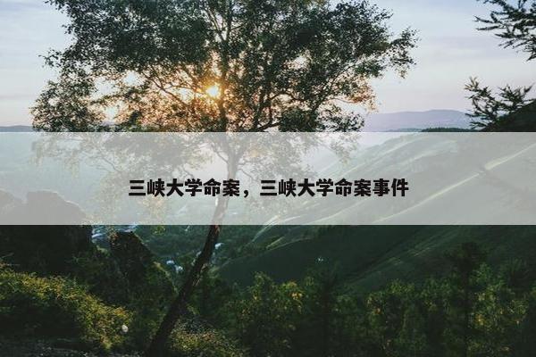 三峡大学命案，三峡大学命案事件
