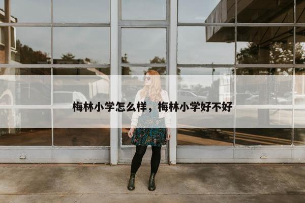 梅林小学怎么样，梅林小学好不好