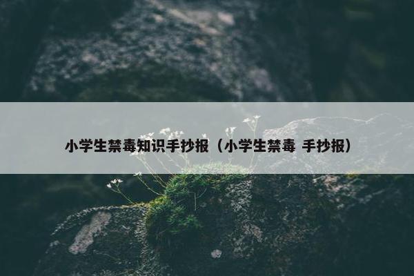 小学生禁毒知识手抄报（小学生禁毒 手抄报）