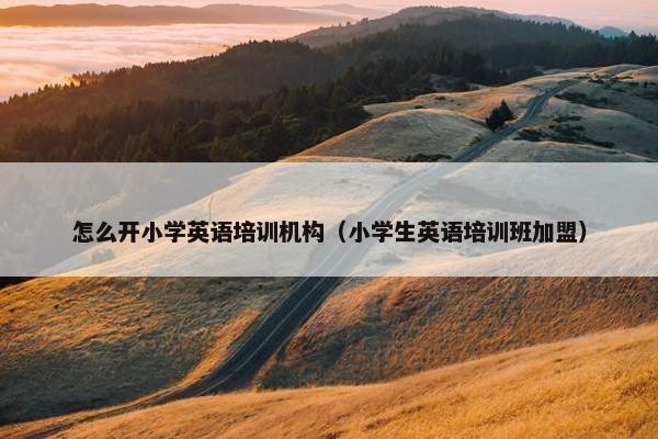 怎么开小学英语培训机构（小学生英语培训班加盟）