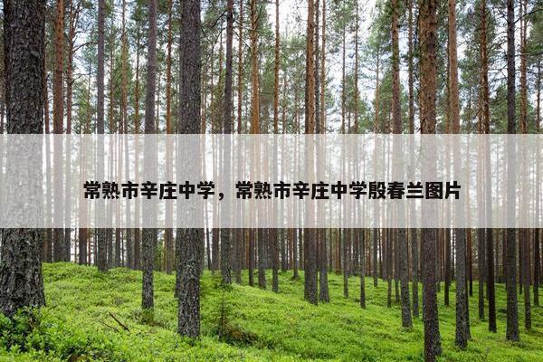常熟市辛庄中学，常熟市辛庄中学殷春兰图片