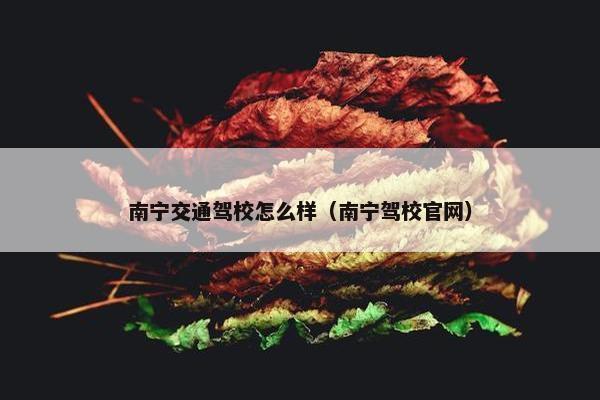 南宁交通驾校怎么样（南宁驾校官网）