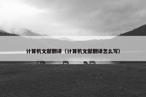 计算机文献翻译（计算机文献翻译怎么写）