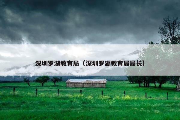 深圳罗湖教育局（深圳罗湖教育局局长）