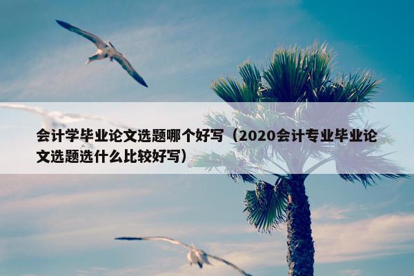 会计学毕业论文选题哪个好写（2020会计专业毕业论文选题选什么比较好写）