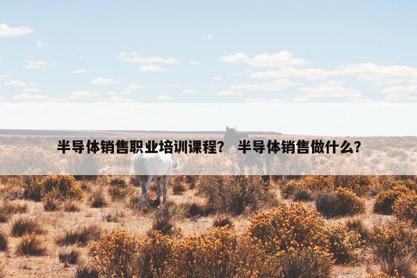 半导体销售职业培训课程？ 半导体销售做什么？