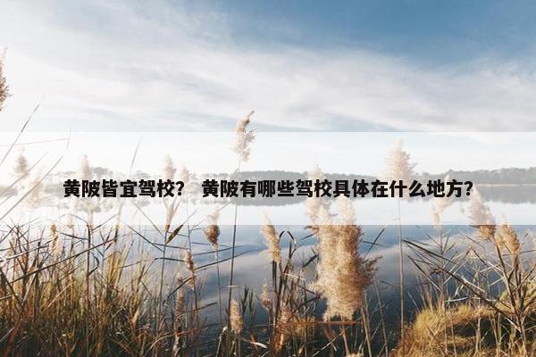 黄陂皆宜驾校？ 黄陂有哪些驾校具体在什么地方？