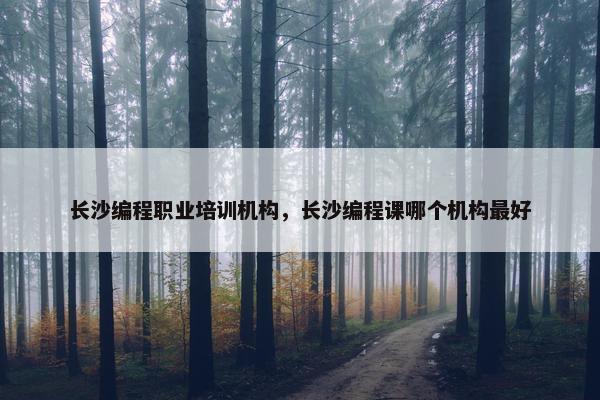 长沙编程职业培训机构，长沙编程课哪个机构最好