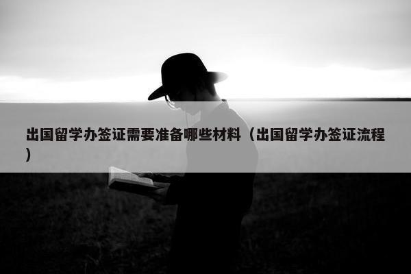 出国留学办签证需要准备哪些材料（出国留学办签证流程）