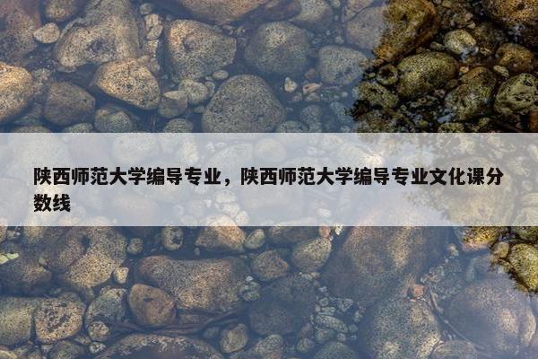 陕西师范大学编导专业，陕西师范大学编导专业文化课分数线