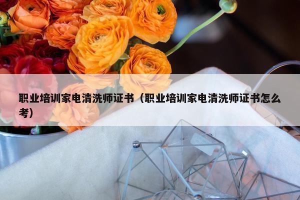 职业培训家电清洗师证书（职业培训家电清洗师证书怎么考）