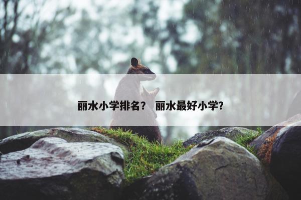丽水小学排名？ 丽水最好小学？