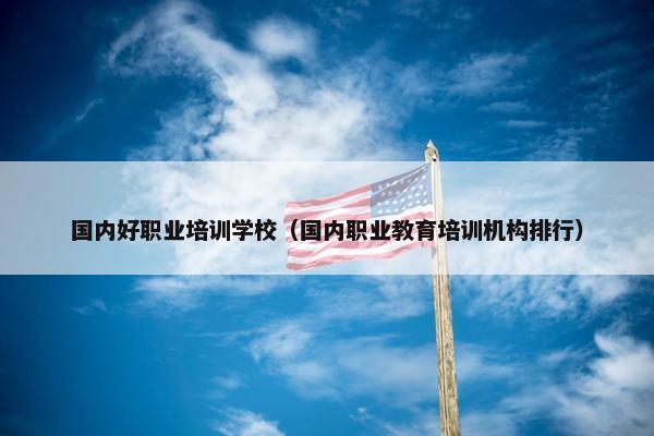 国内好职业培训学校（国内职业教育培训机构排行）