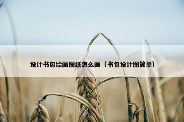 设计书包绘画图纸怎么画（书包设计图简单）