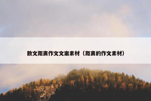 散文距离作文文案素材（距离的作文素材）