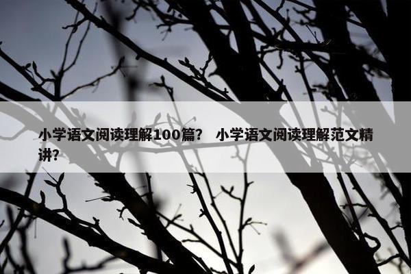 小学语文阅读理解100篇？ 小学语文阅读理解范文精讲？